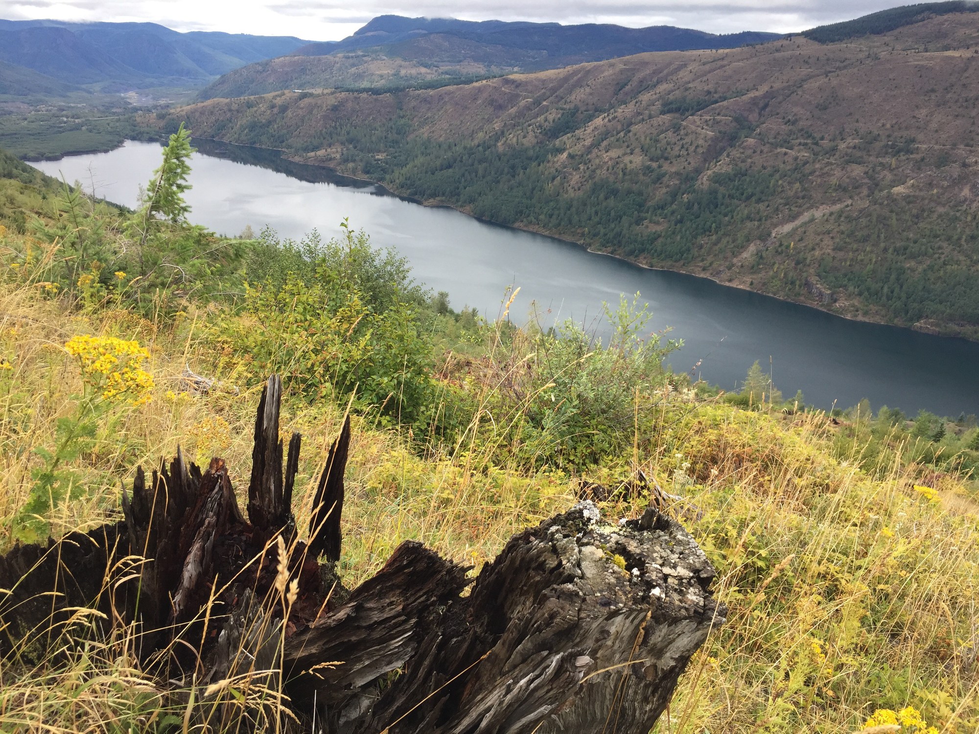 Coldwater Lake from South Coldwater Trail by Steve Payne — The Mountaineers