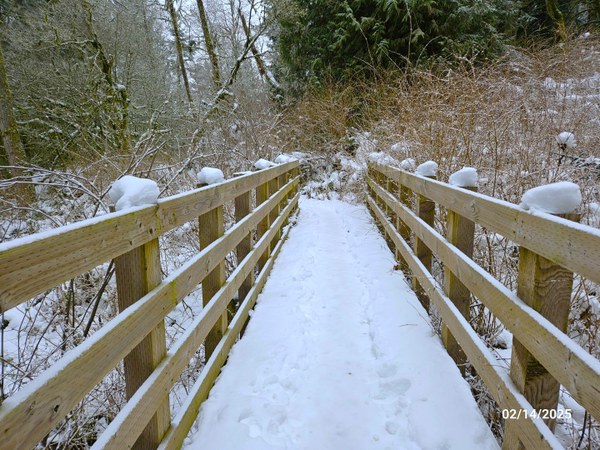 20250214_Phil'sCrkBrdg (Large).jpg