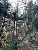 Squak Mountain: Sycamore Access