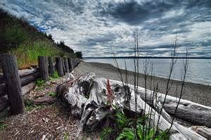 Steilacoom to Sequalitchew Creek