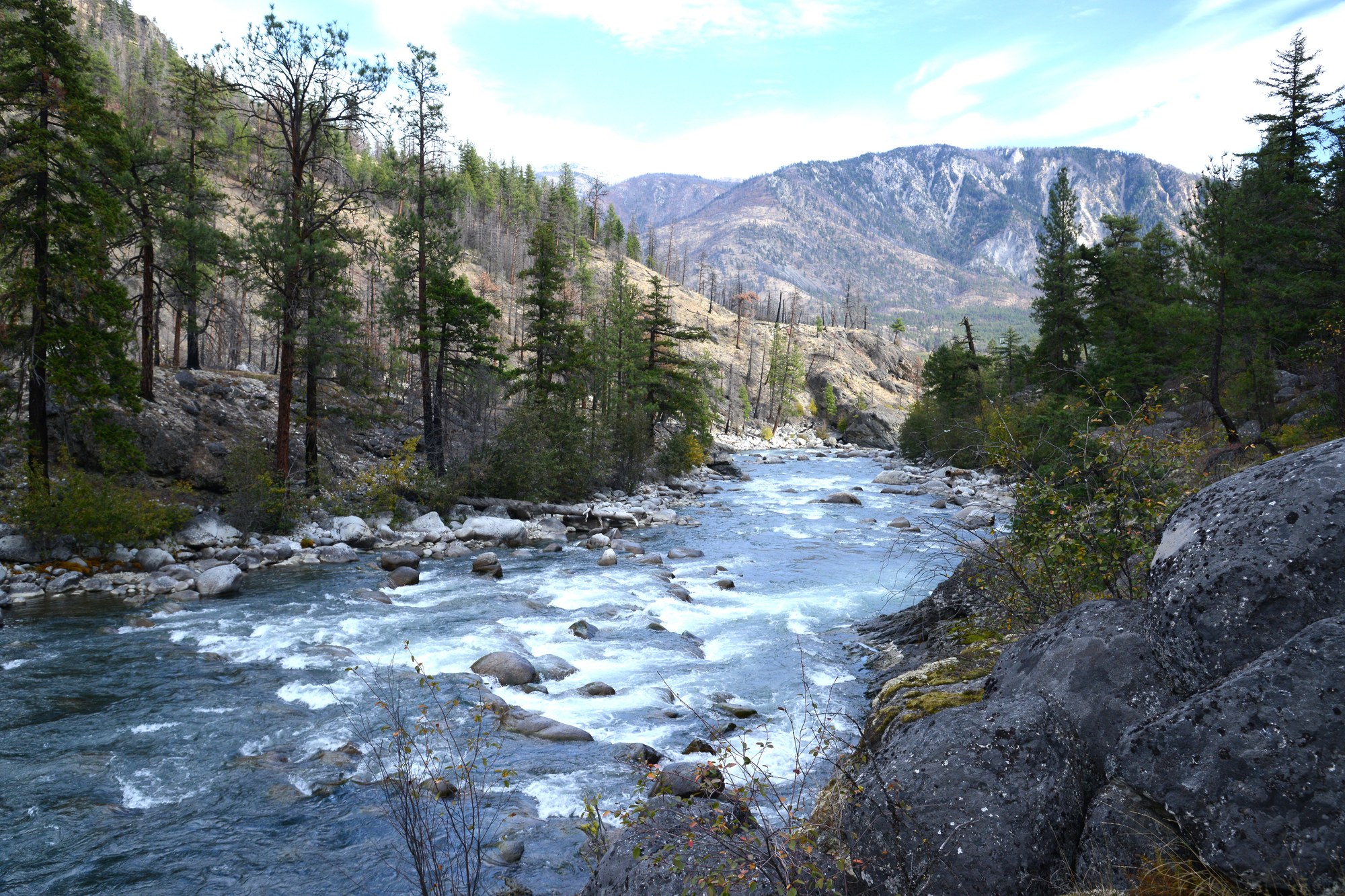 DSC_4586 Lower Stein River trail canyon 101425.JPG