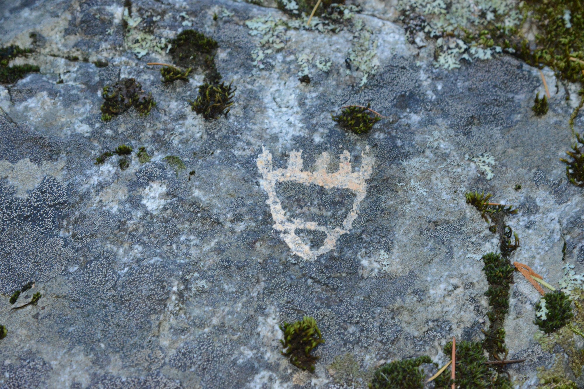 DSC_8745 Stein River trail pictographs along sidetrail rock wall 101119.JPG