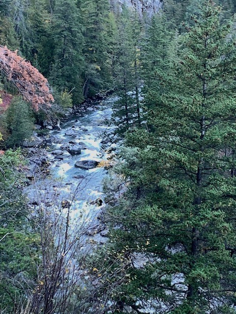 IMG_0947 Stein River canyon upstream from Devils Staircase.jpg