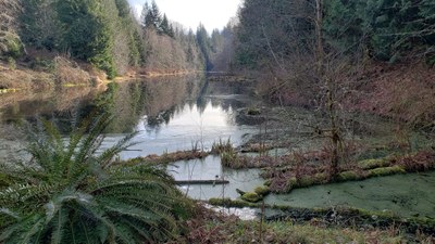Stimpson Nature Preserve/Geneva Pond Loops