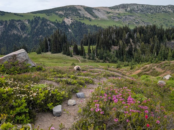 PXL_20250721_011402113 (1).jpg