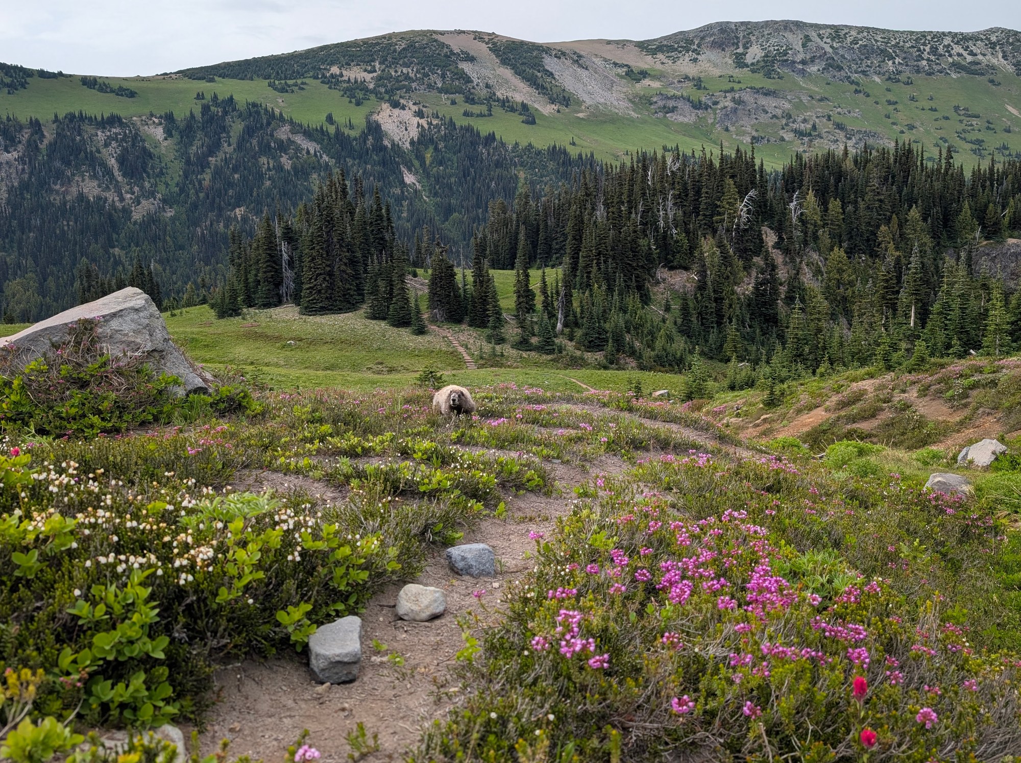 PXL_20250721_011402113 (1).jpg