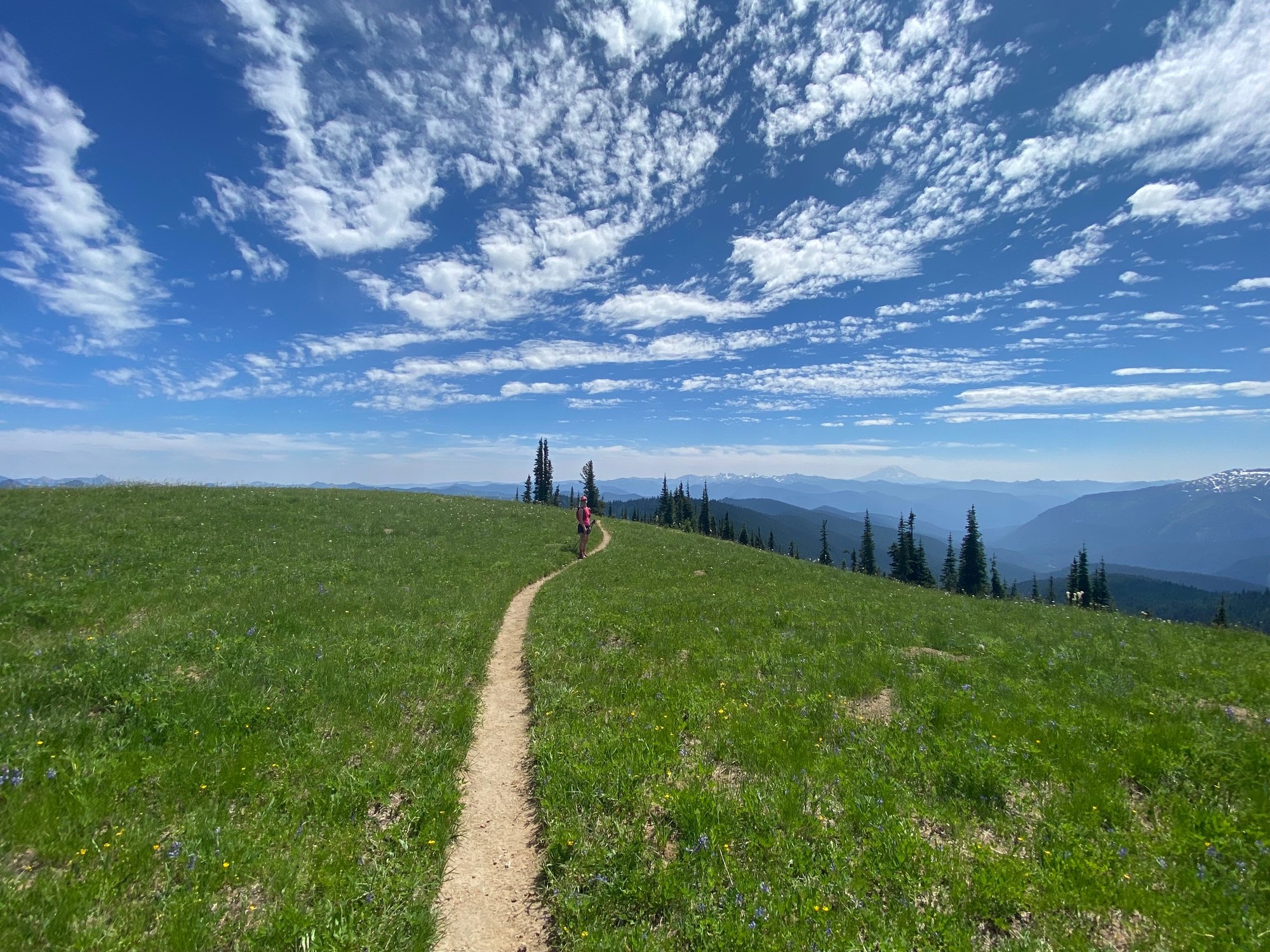 Heather Cowlitz Divide.jpg