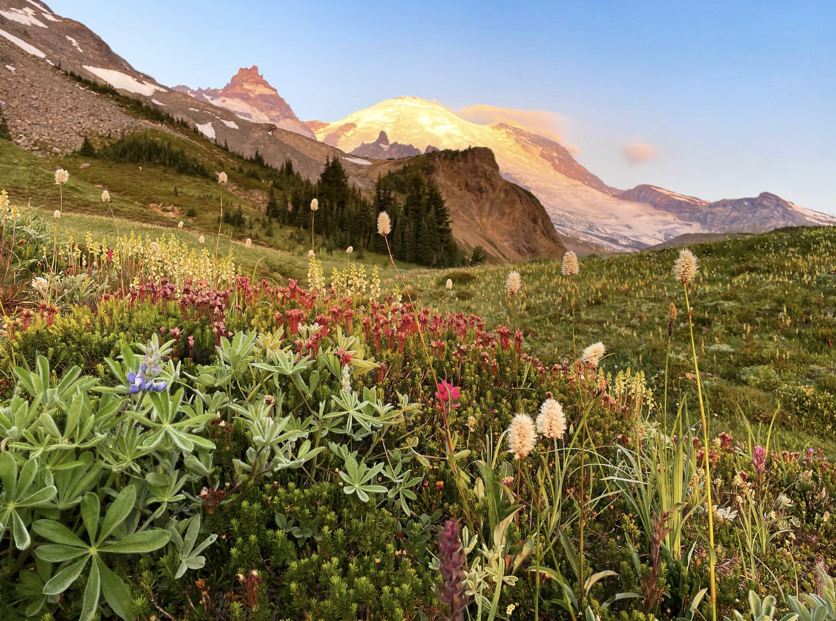 Screenshot 2024-07-28 at 3.34.15 AM.png