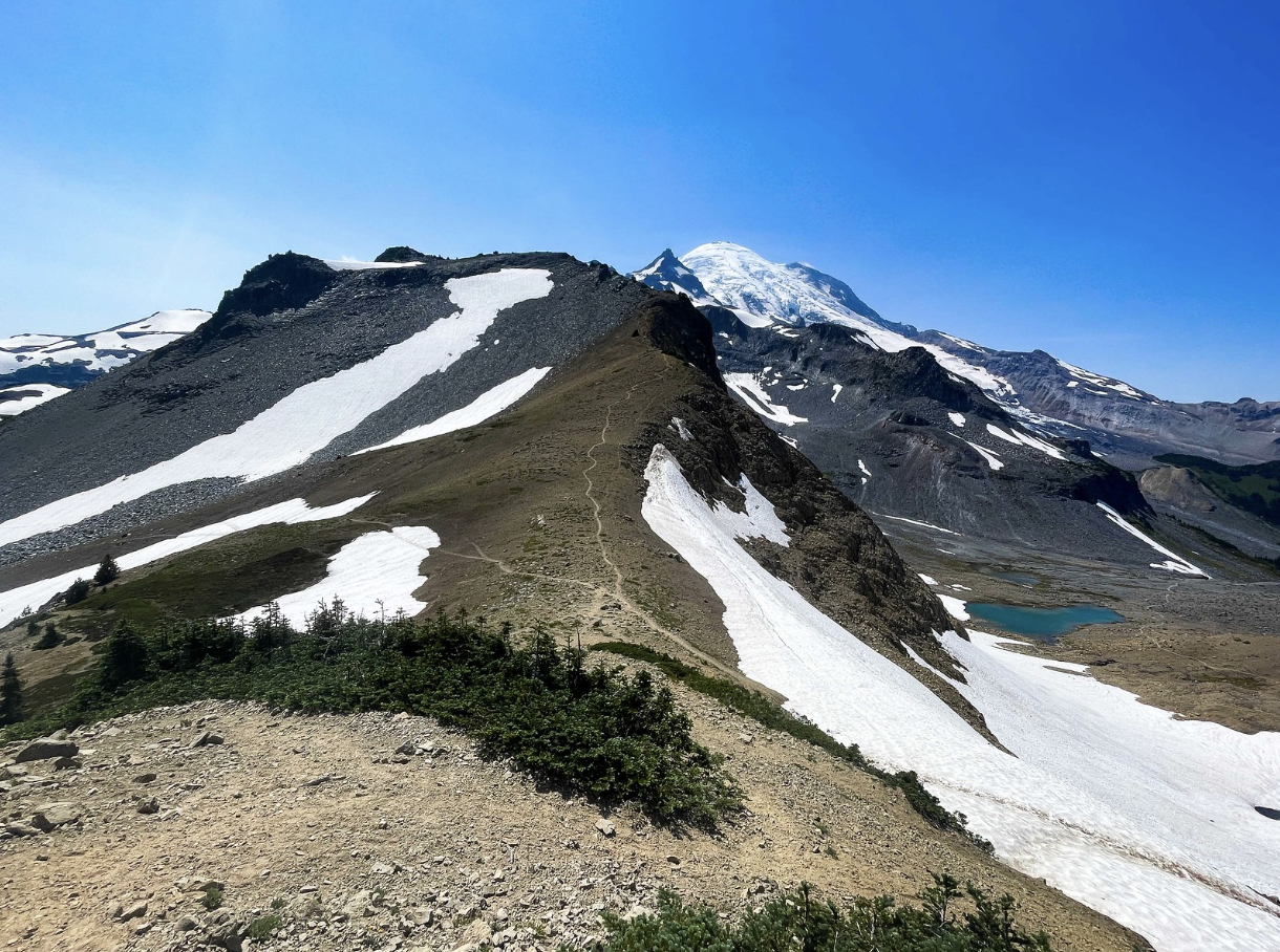 Screenshot 2024-07-28 at 3.39.42 AM.png