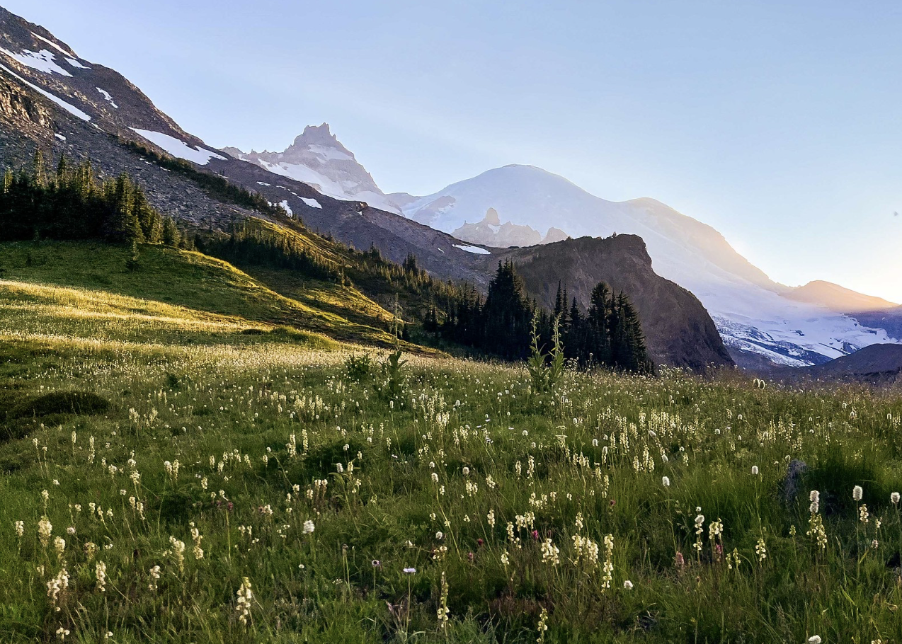 Screenshot 2024-07-28 at 3.47.12 AM.png