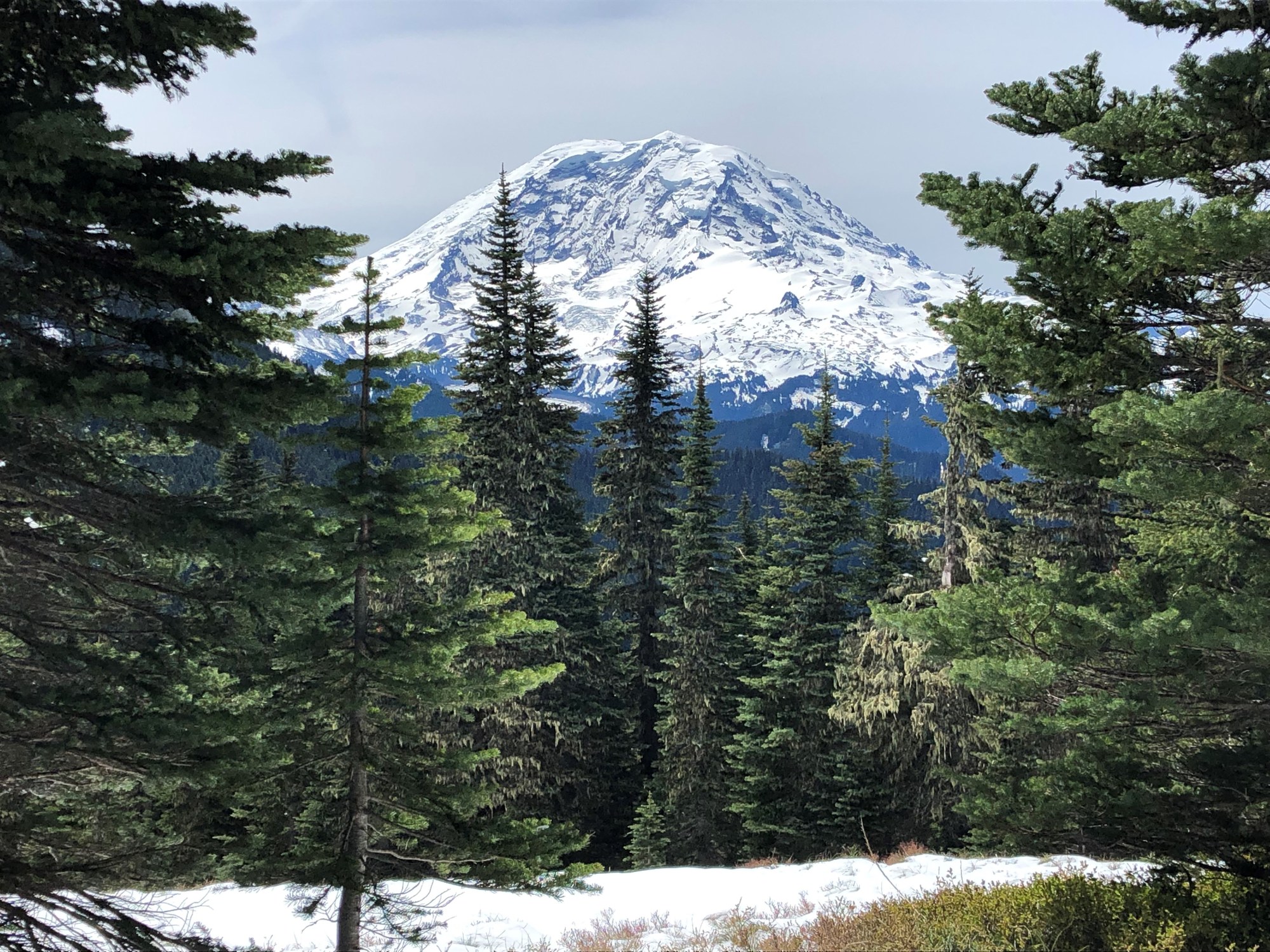 rainier.jpg