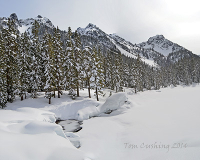 Surprise Lake Snowshoe