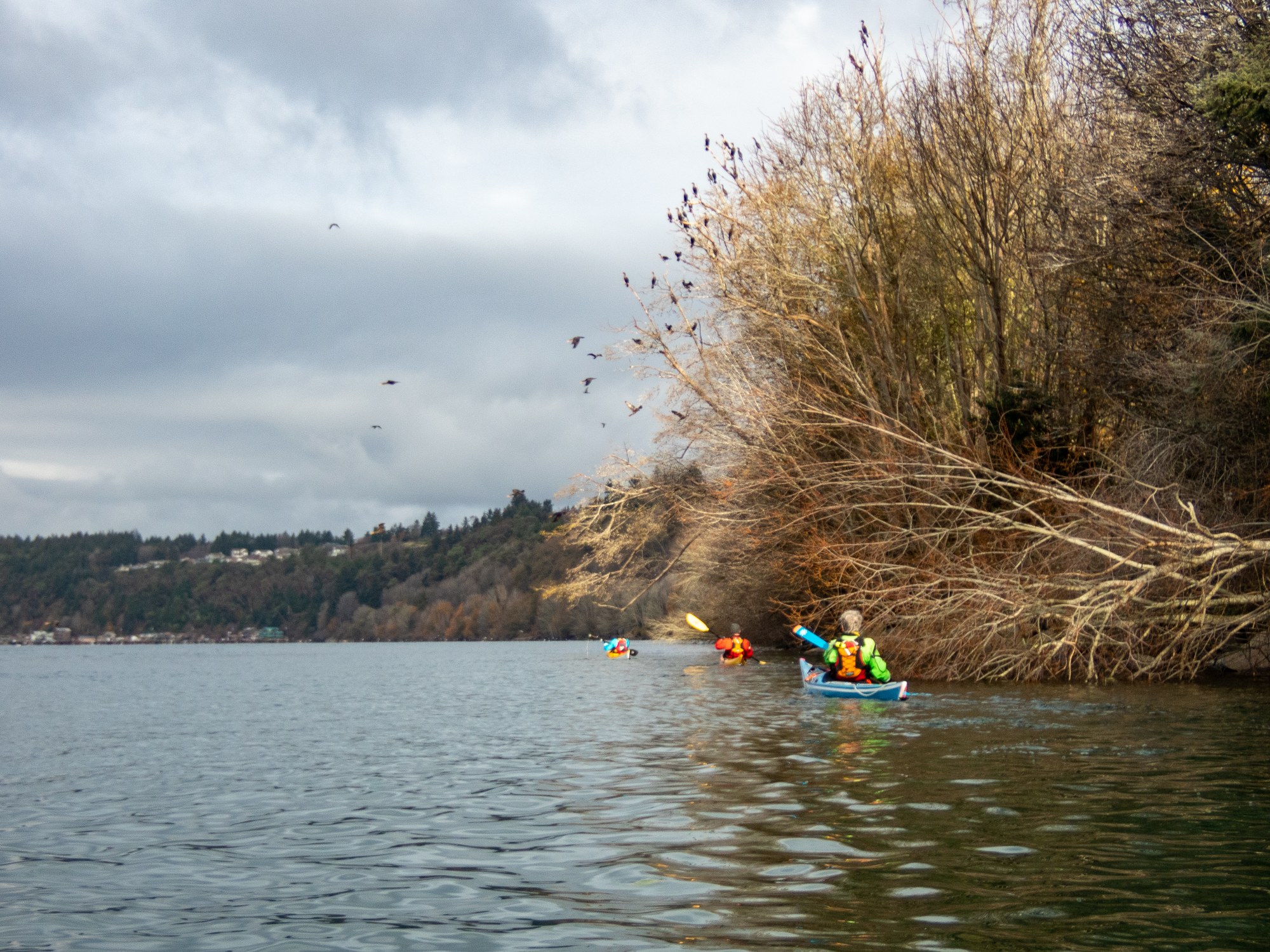 Heading back, photo by Will Wade.jpg