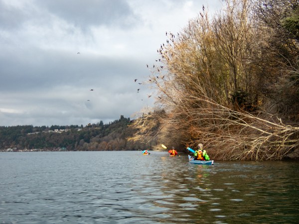 Heading back, photo by Will Wade.jpg