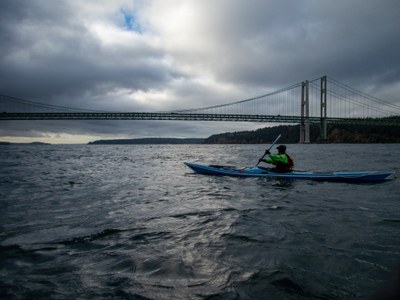 The Narrows bridge, photo by Will Wade.jpg