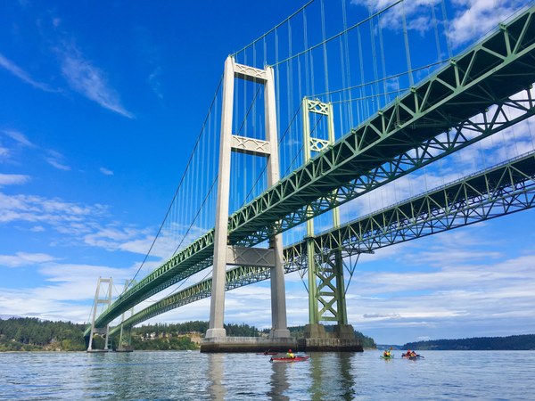 Under the Narrows.jpg