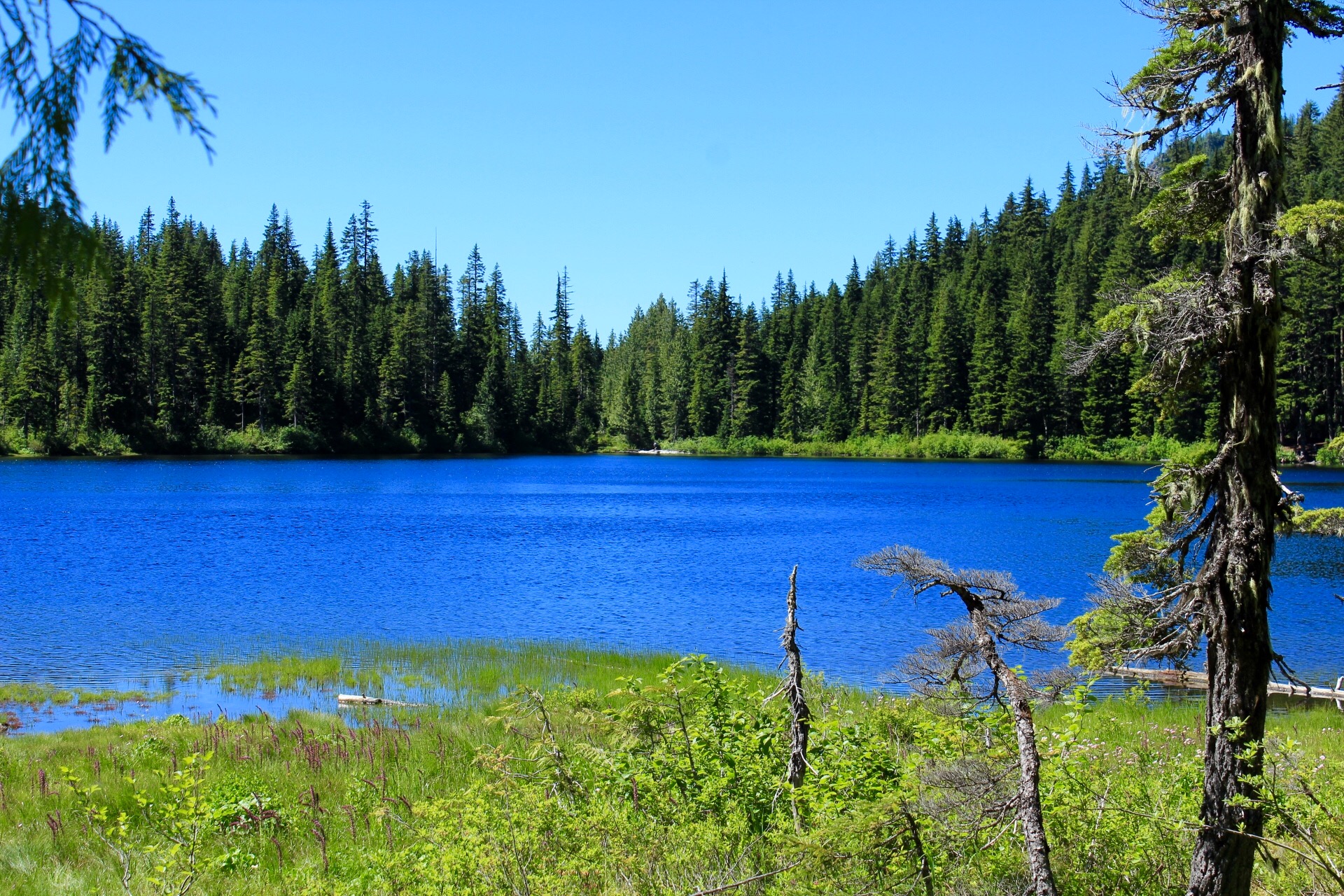 Talapus Lake
