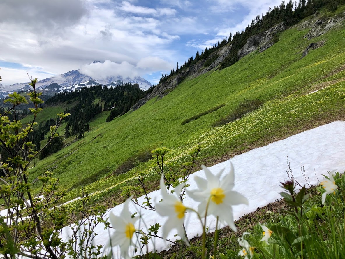 Tatoosh Peak Trail.jpg