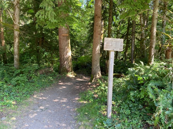 Signage along the Taylor Mountain Forest Trails
