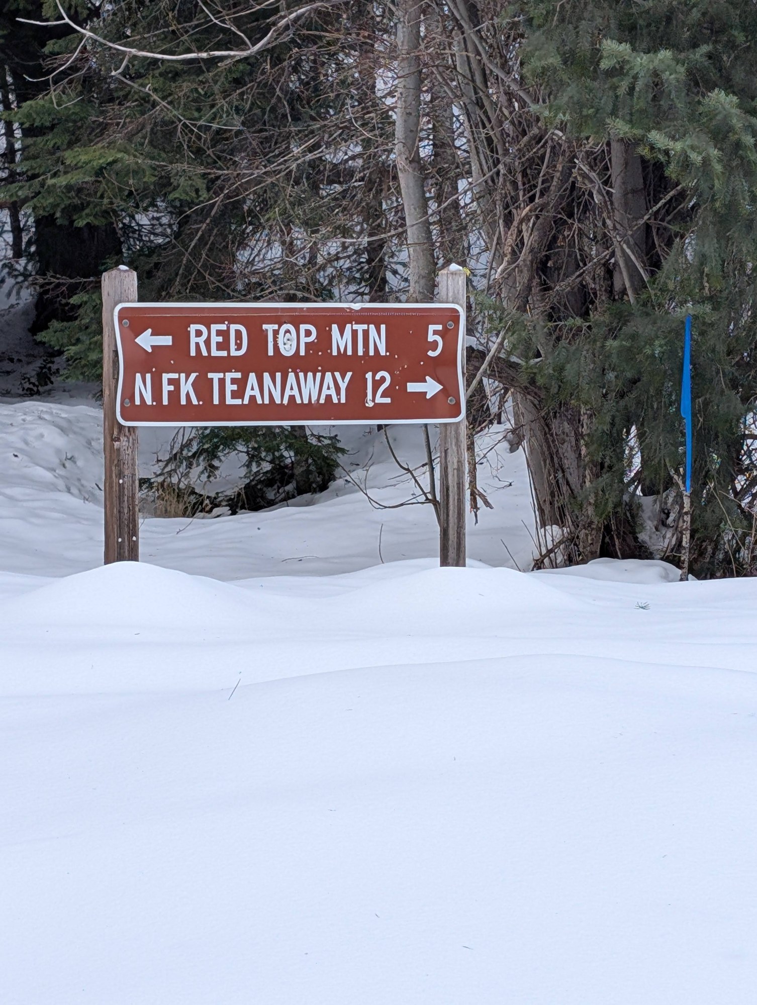 PXL_20250215_172713371 (1).jpg