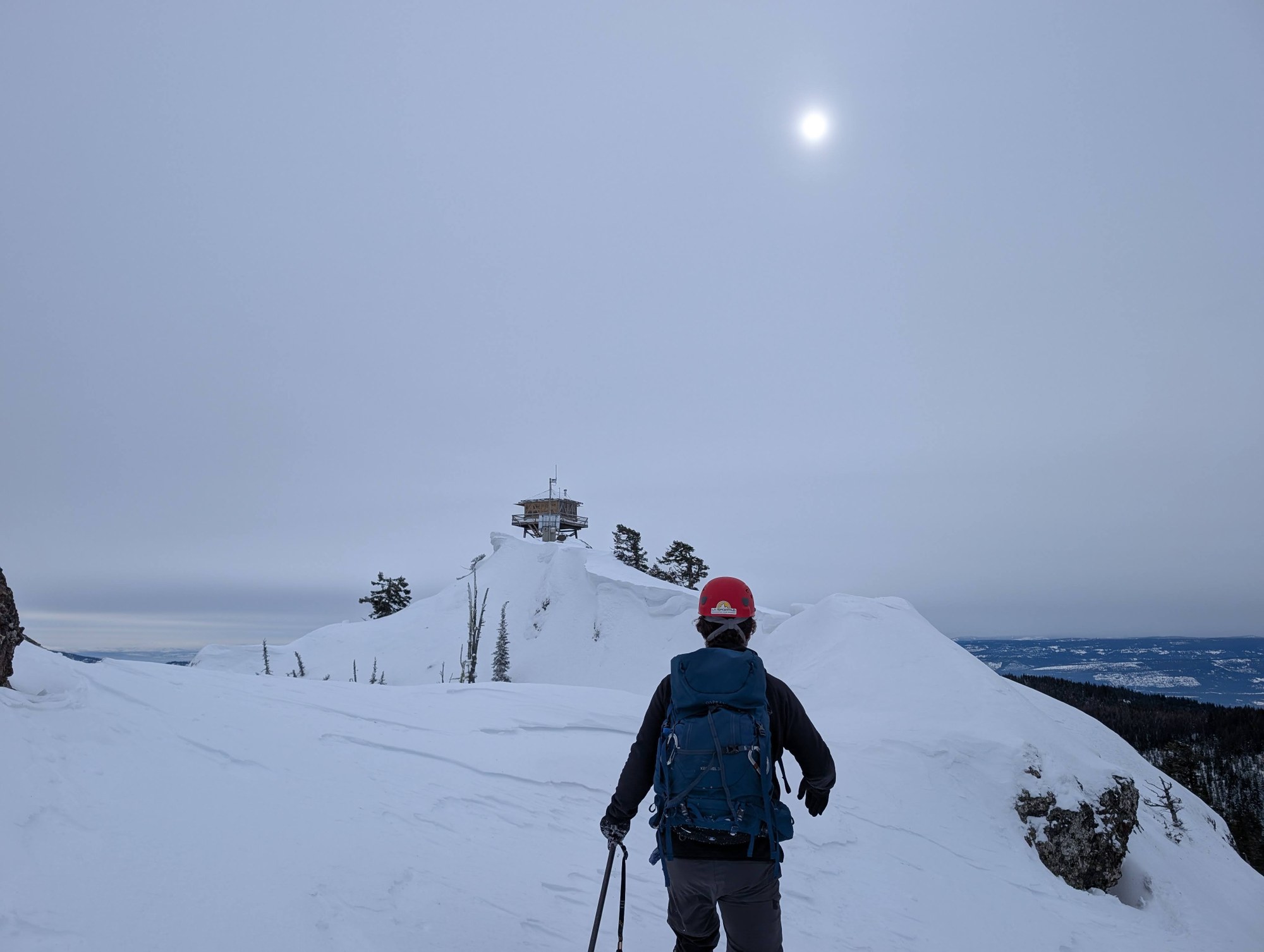 PXL_20250215_203429615 (1).jpg