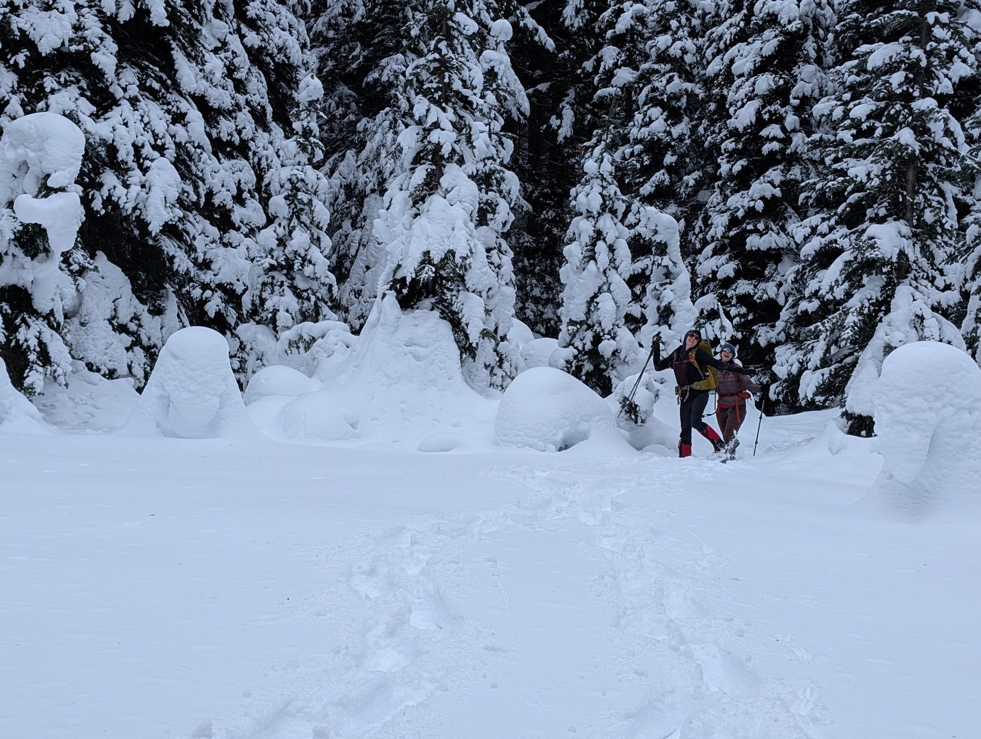 PXL_20250215_212104359 (2).jpg