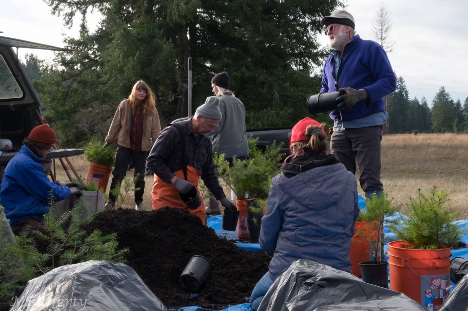 Joint Tree Salvage at Tenalquot