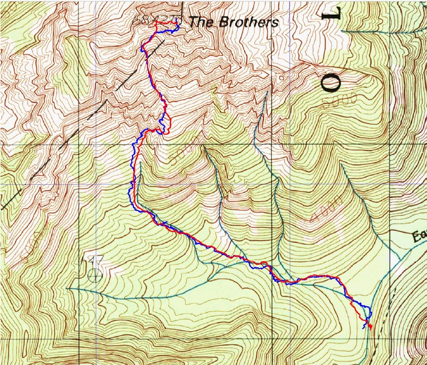 The Brothers Tracks.jpg