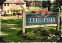 The Firs