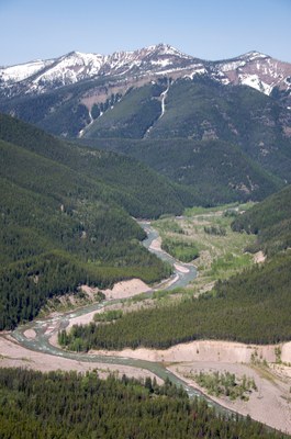 Three Forks of the Flathead River