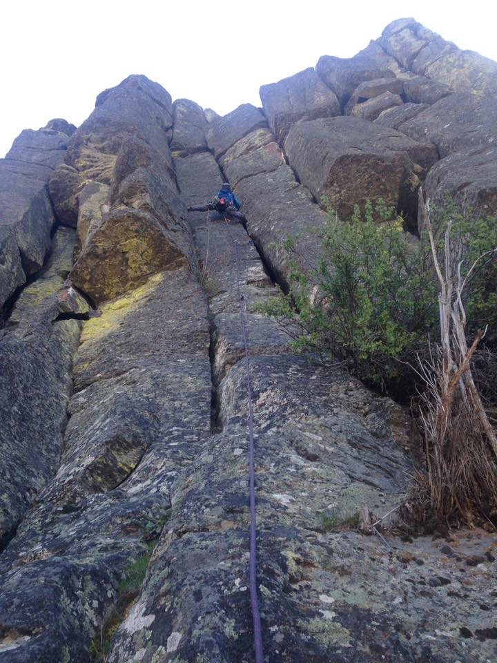 13103504_10153791887685756_5746536327670251214_n (1).jpg