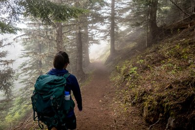 Poo Poo Point via High School Trail