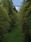 Tiger Mountain Lowlands