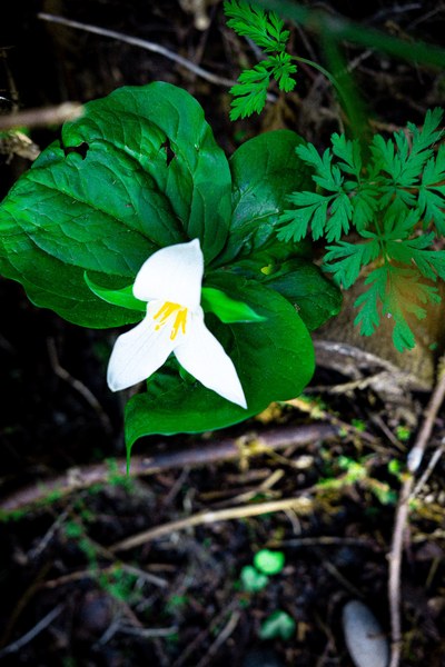 DSC_0536.jpg DSC_0536.jpg