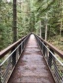 Tiger Mountain Trail