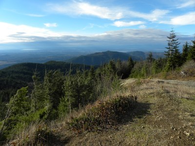 West Tiger Mountain 1-2-3