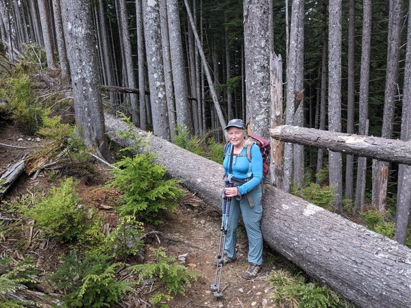 Hiker standing in front of a fallen log