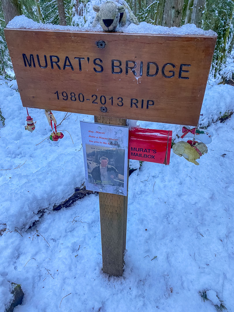 Tiger 2025.02.11-3.jpg