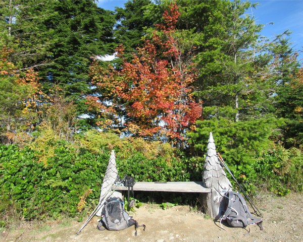 A bench with hiking packs and poles and trees in fall color.