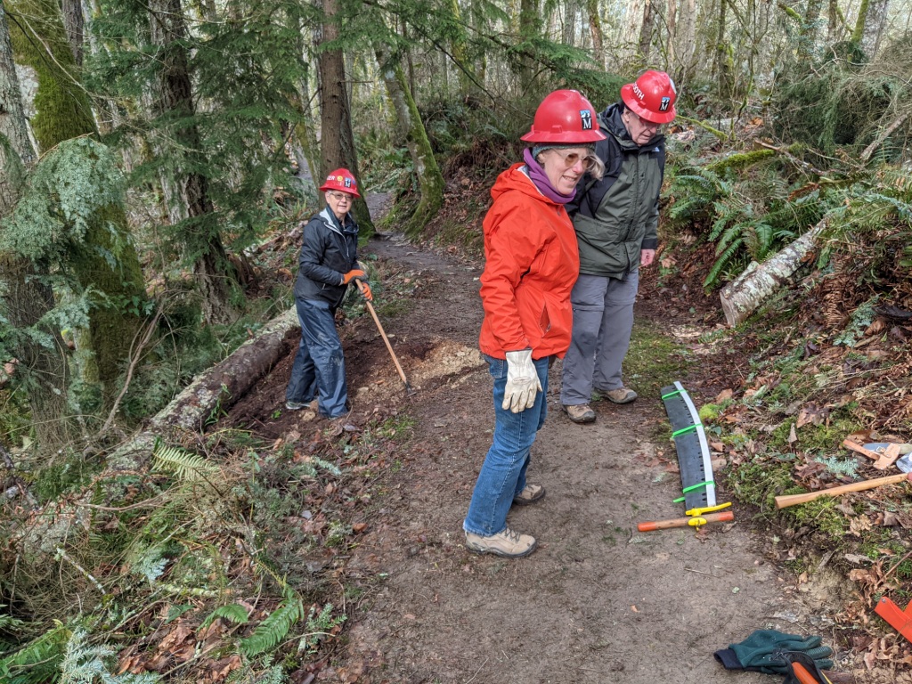 preparing to saw crosscut.jpg