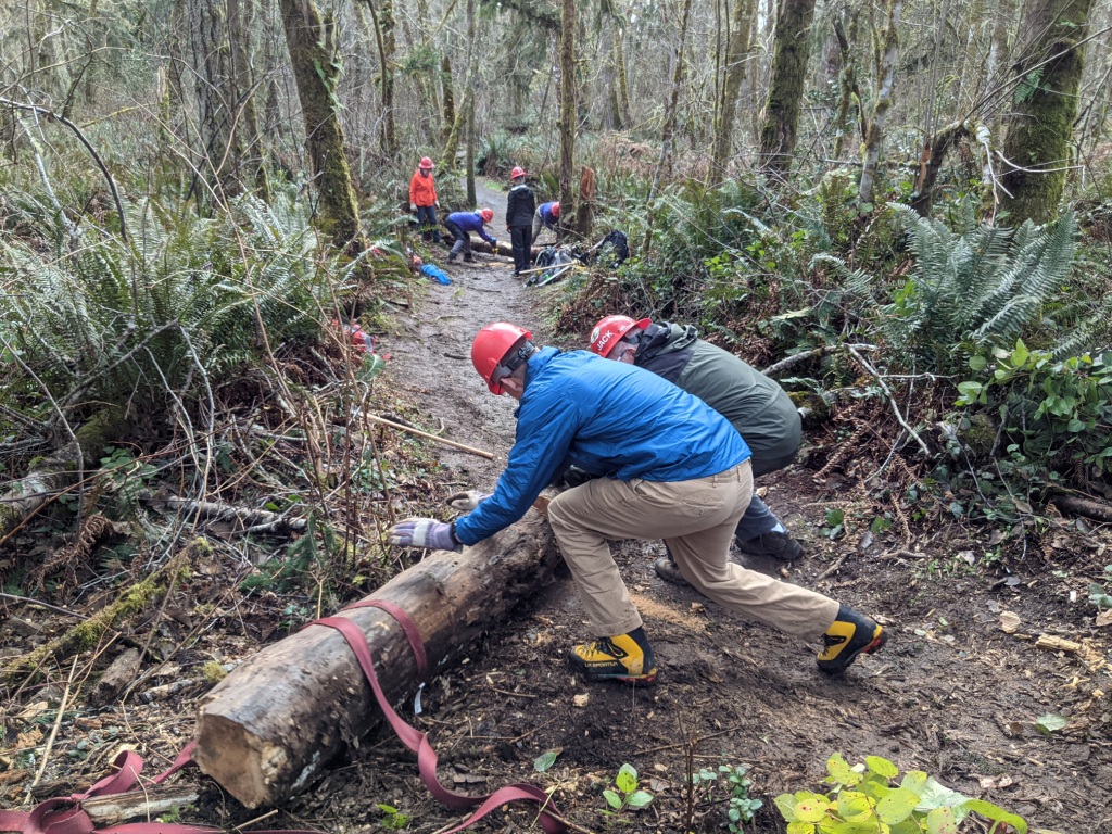 roll logs of trail.jpg