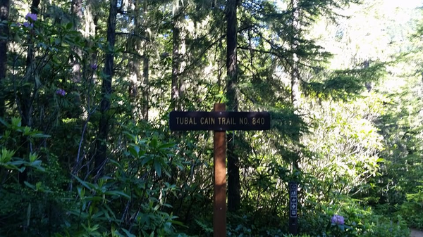 Trailhead Sign.png