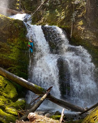 Tule Creek (Gifford Pinchot)