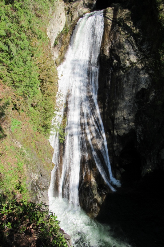 IMG_7724 (533x800).jpg