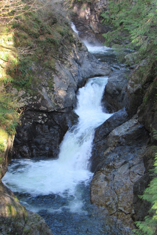 IMG_7728 (533x800).jpg