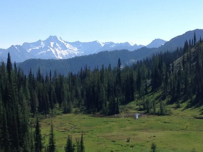 south pass by monty pratt.jpeg