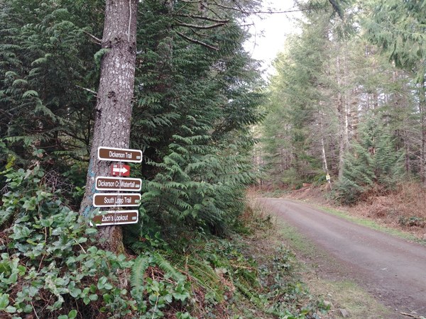 Ueland Tree Farm Junction