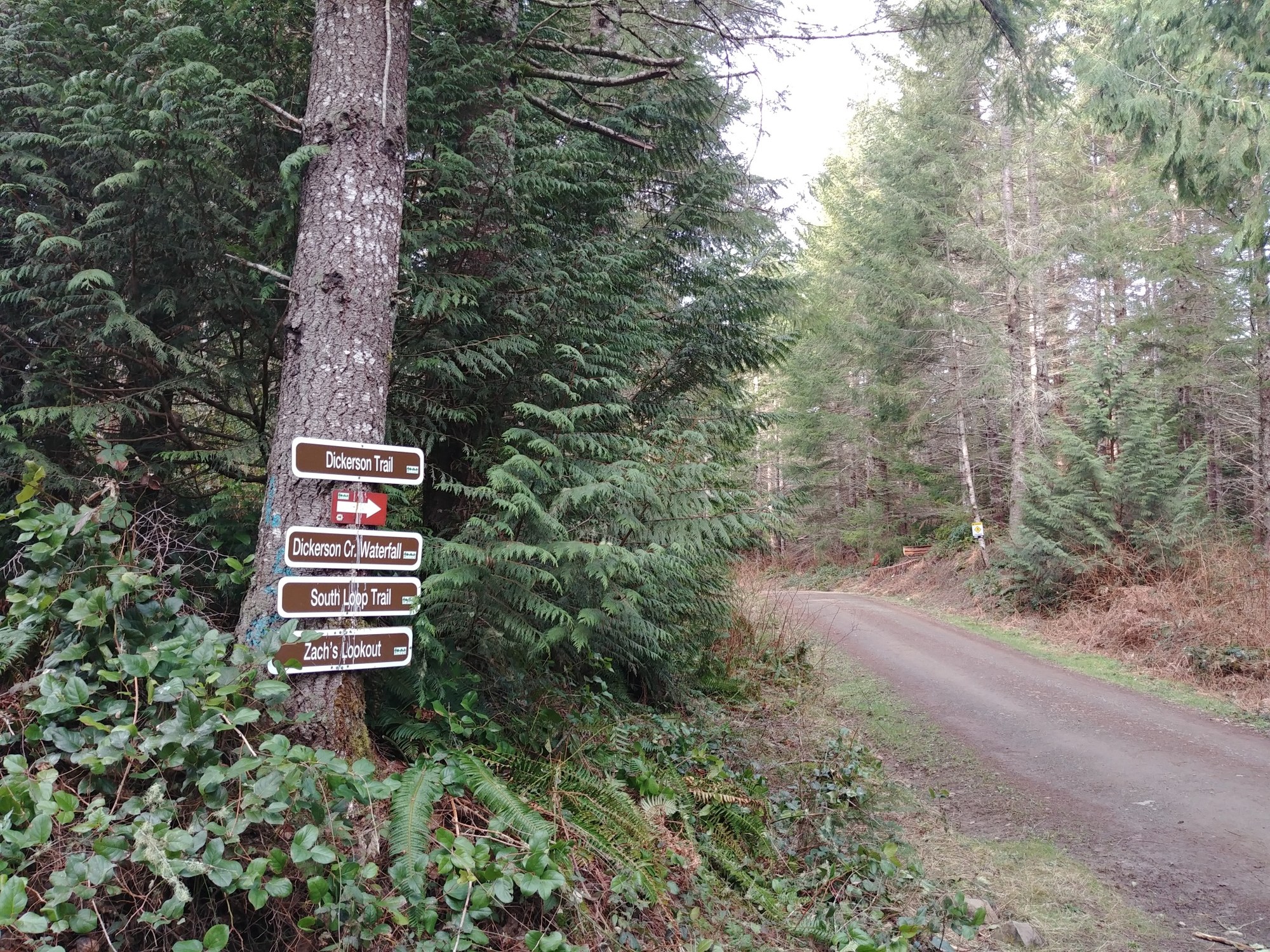 Ueland Tree Farm Junction