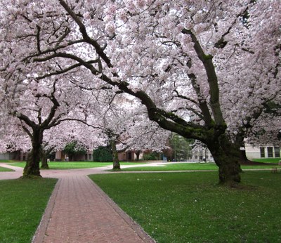 University of Washington: Seattle Campus