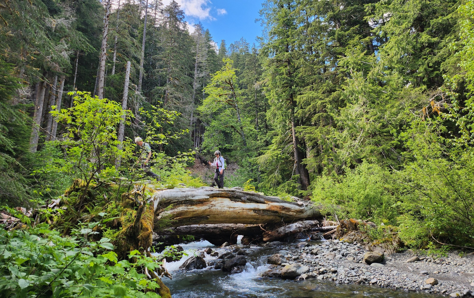 20240606_155215 cropped.jpg